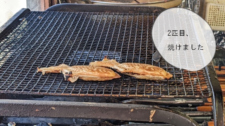 焼き上がったたい焼き2匹