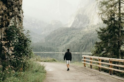 中沢元紀を癒やすもの